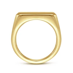 Online Gabriel & Co. Wide 14K Yellow Gold North Star Ring in Satin Finish