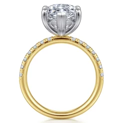 Best Gabriel & Co. Winslow - 14K White-Yellow Gold Marquise Shape Diamond Engagement Ring