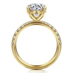Best Gabriel & Co. Winslow - 14K Yellow Gold Round Diamond Engagement Ring