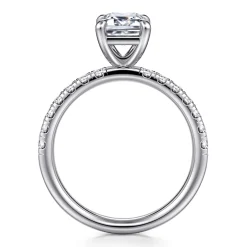 Outlet Gabriel & Co. Winslow - Platinum Emerald Cut Diamond Engagement Ring